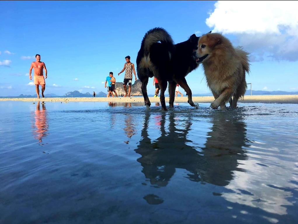 Strand