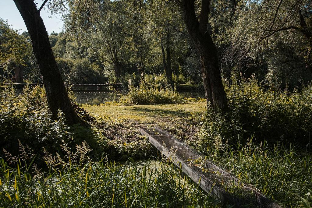 Les Cabanes Des Marais photo