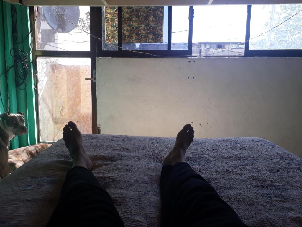 Suite privada con amenidades compartidas photo