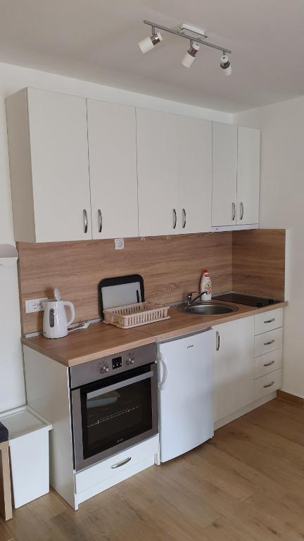 APARTMAN OLAF KOPAONIK - 2