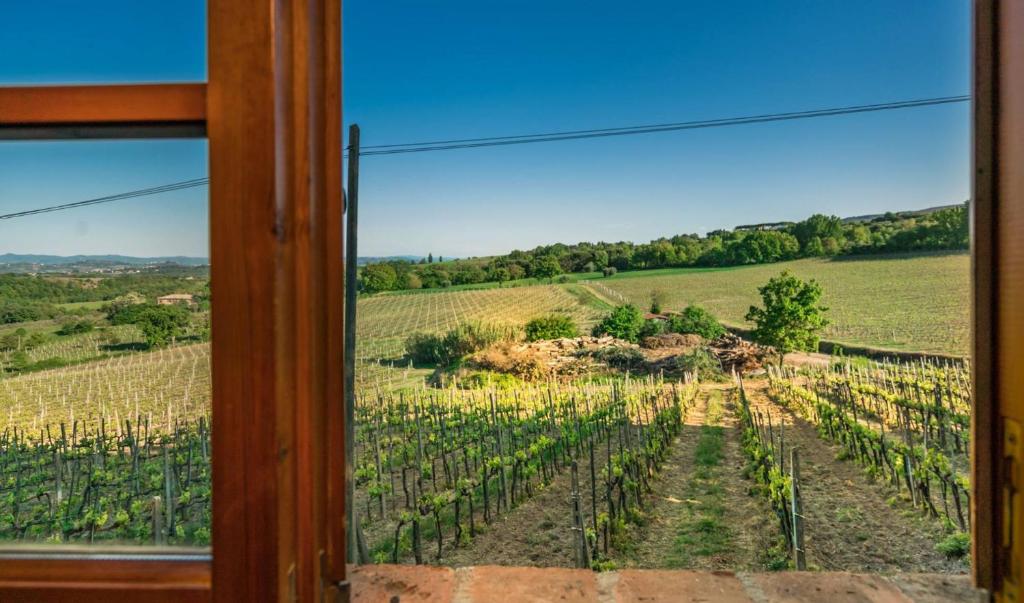 Agriturismo Palazzo Bandino in Val di Chiana, Val dorcia - 4