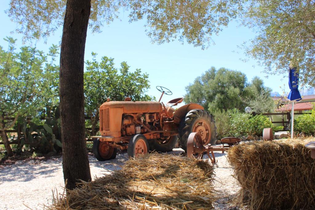 Agriturismo Pira Pinta photo