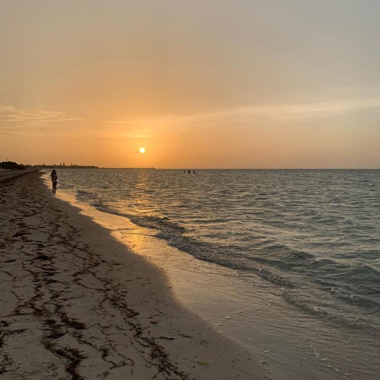 Playa Arena photo