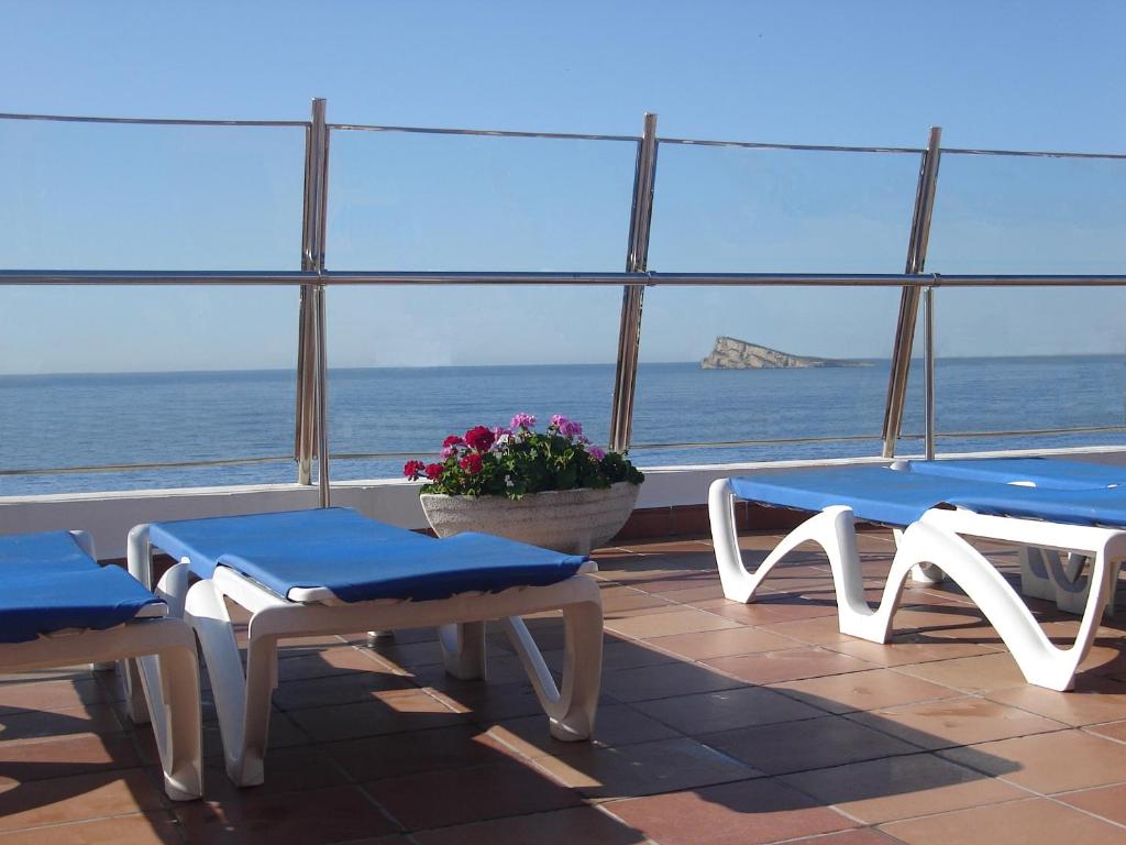 Hotel Avenida — Attractions in the area in Benidorm, Valencian Community