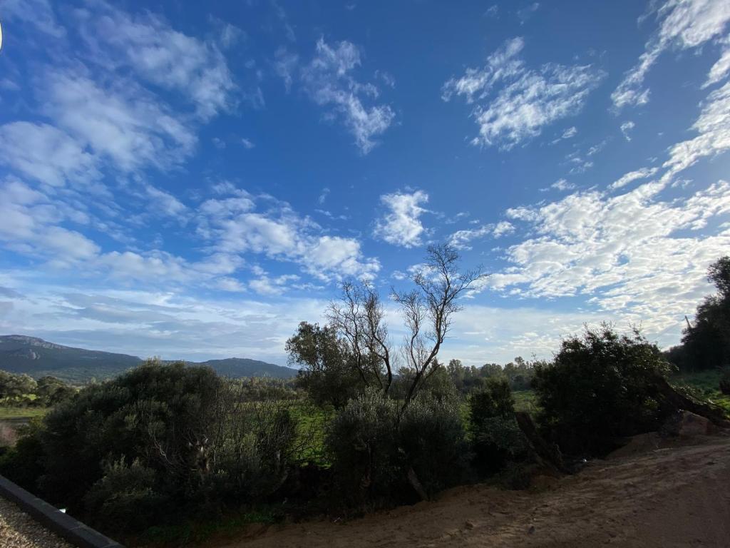 Porto-Vecchio, Luxe et lumière, Stanatura - 3