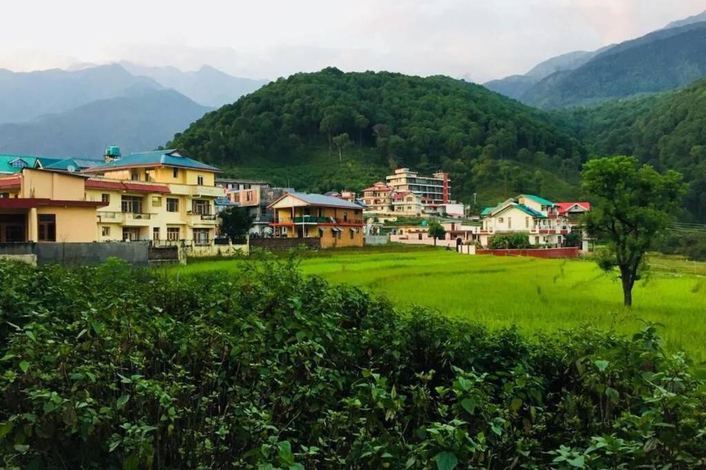 Lohna Heights , Palampur