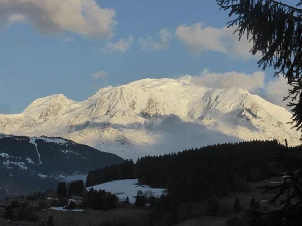 Chalet Mireneige, charme et confort face au Mont Blanc - 4