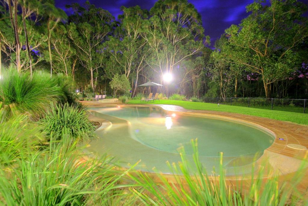 Port Stephens Koala Sanctuary