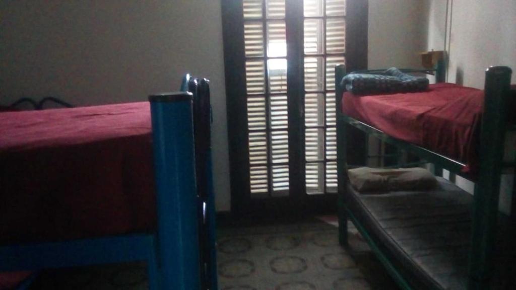 6베드 혼성 도미토리룸 내 침대