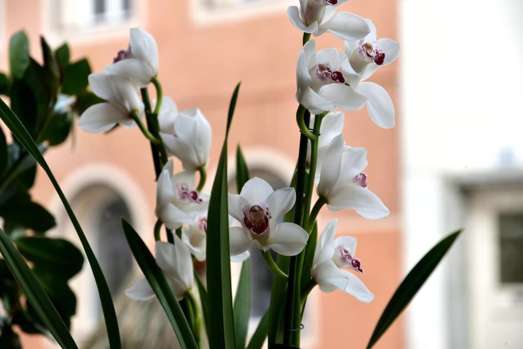 Hotel Krone photo