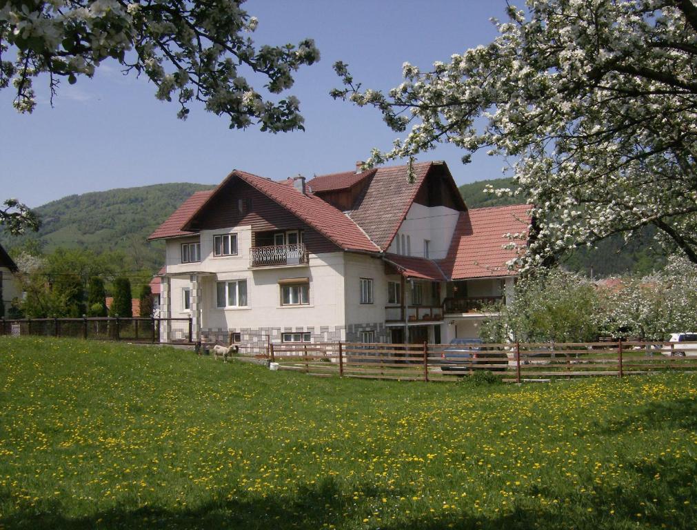 Pensiunea Luminita — Hotel in Bran