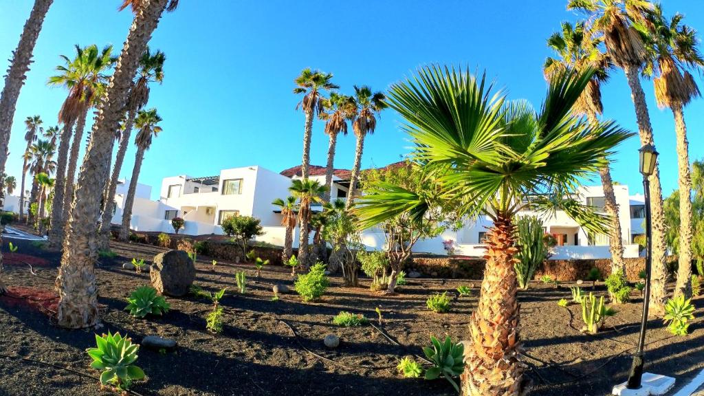 Palmeras Garden