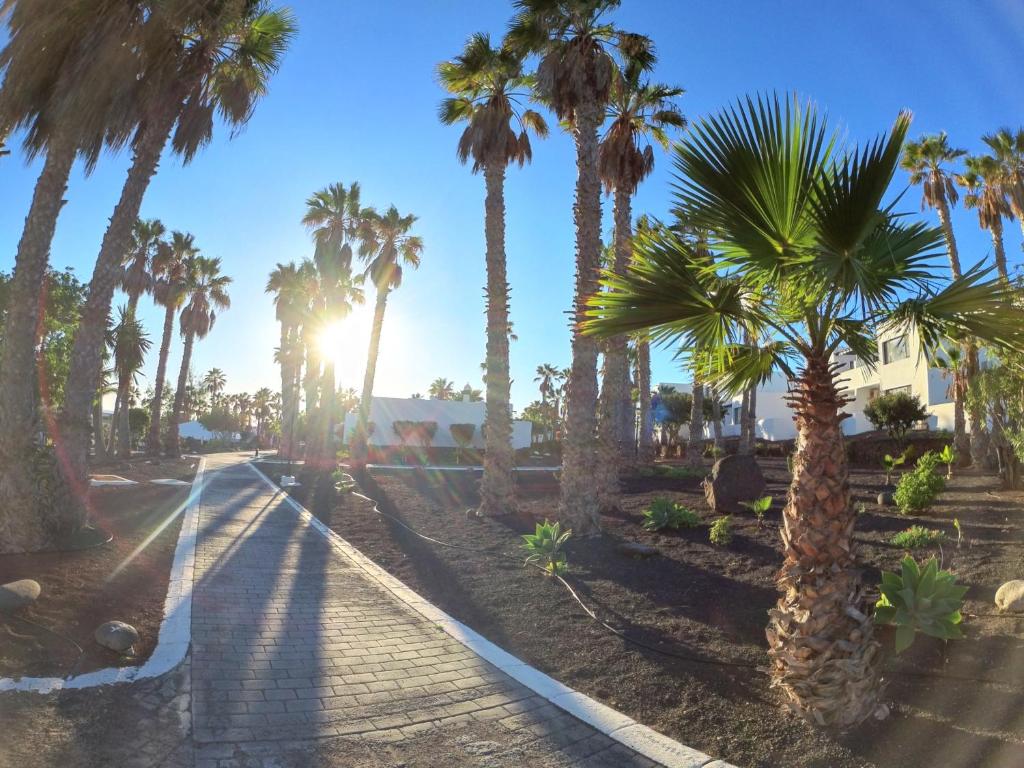 Palmeras Garden