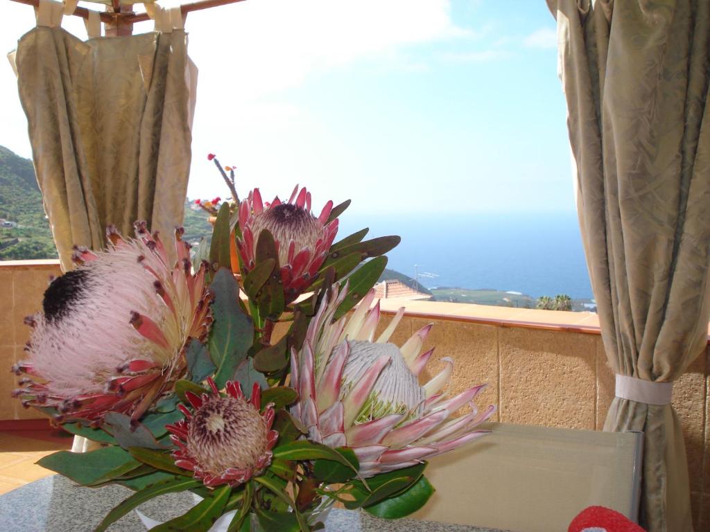 Sunny terrace Tenerife - 2