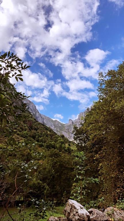 Albergue Villa de Bulnes photo