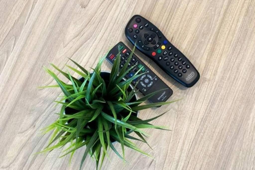 ZY Studio @ EVO SOHO Bangi [ASTRO WiFi NETFLIX] photo