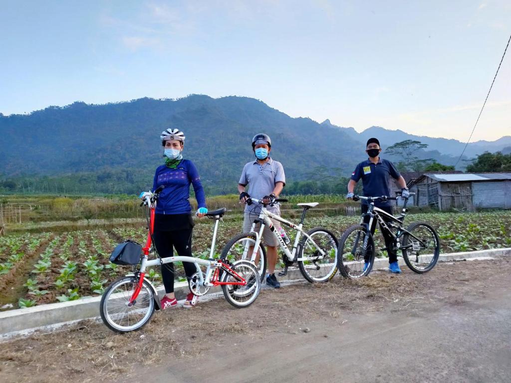 Sports and activities