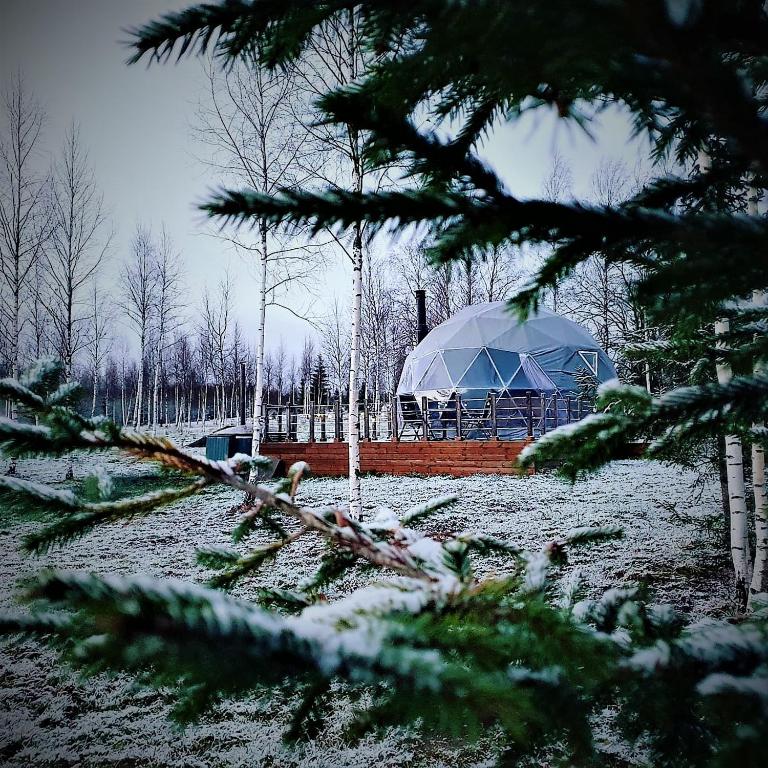 Glamping DiDille photo