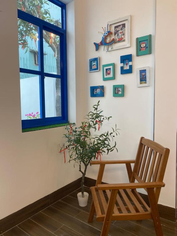 Cat Homestay photo