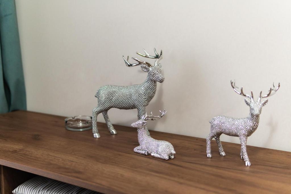 Montesun Boka Apartments - 4