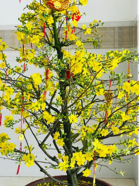 Nha Nghi LAM ANH photo