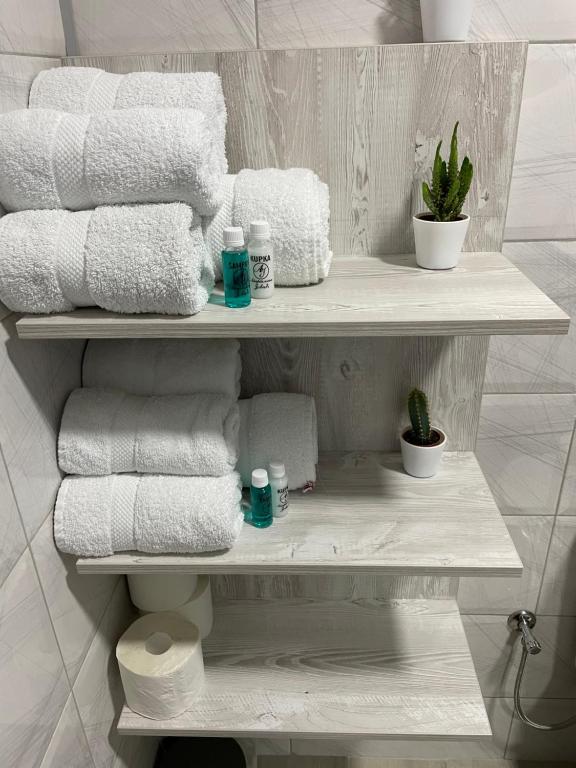 Apartmani Jovic photo