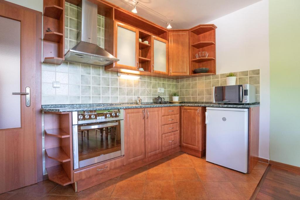 Kitchen, Apartman Lipa-Lipno in Lipno nad Vltavou