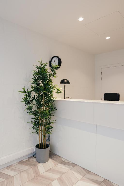 13 O'clock Hostel Ghent — Hotel in Ghent