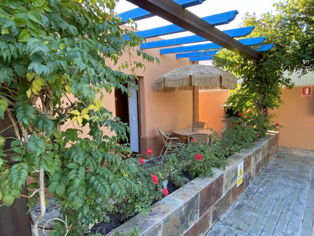 Apartamento 4 Ragel Costa - 4