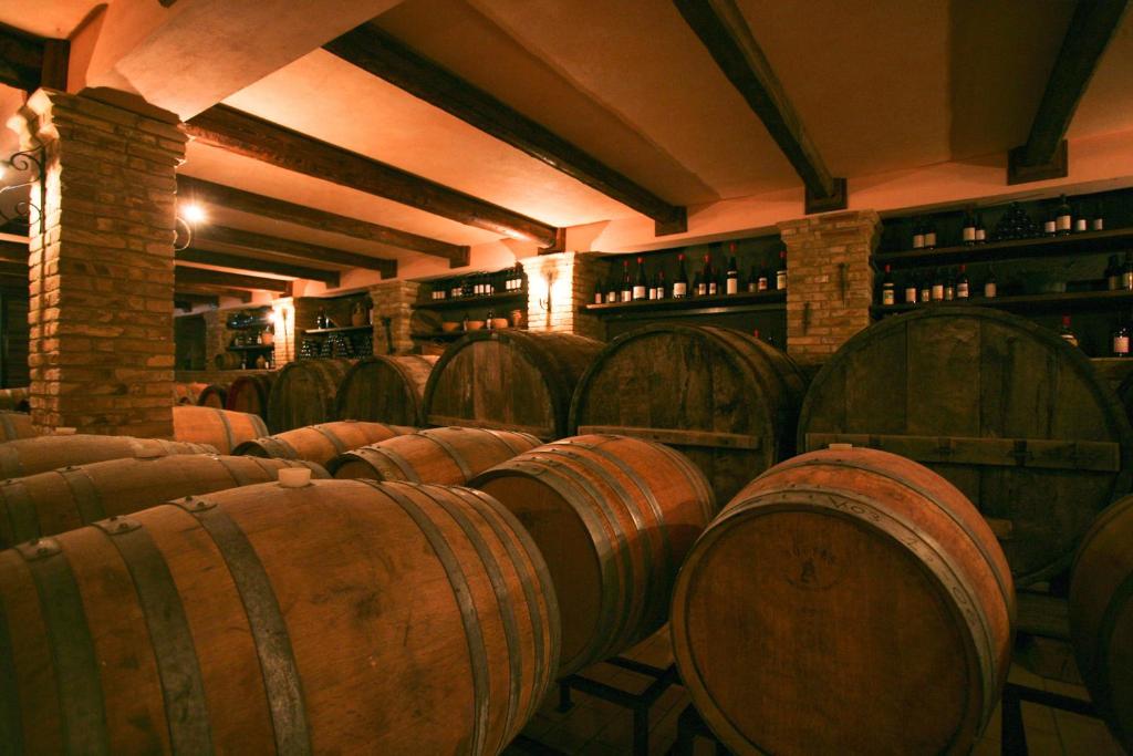 Azienda Vitivinicola Sergio Del Casale - 5