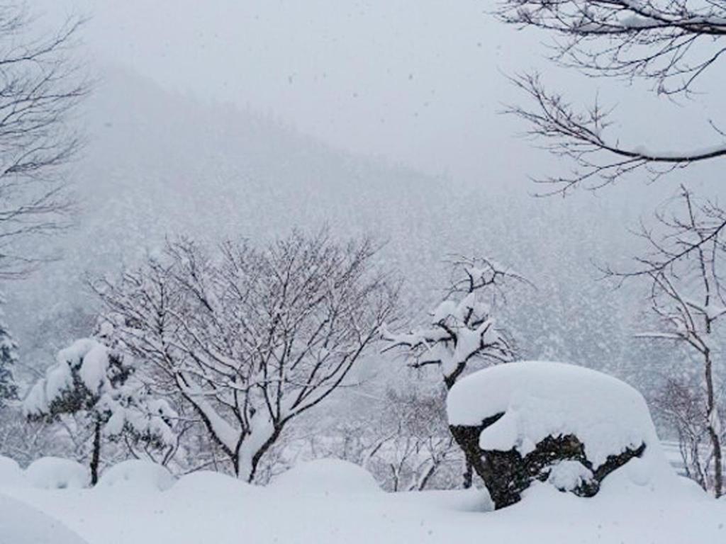 Kinshuusanso photo