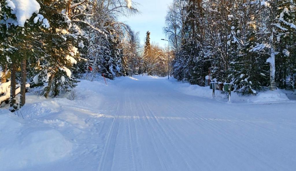 Holiday Home Ivalo photo