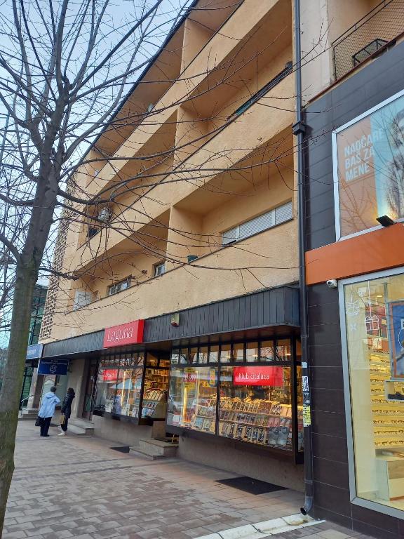 App Centar - pesacka zona — Hotel in Gornji Milanovac