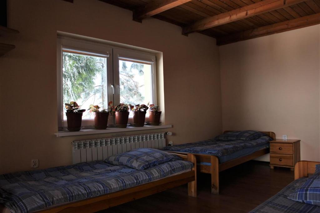 Pod Wisnia Agroturystyka Kalwaria Paclawska photo