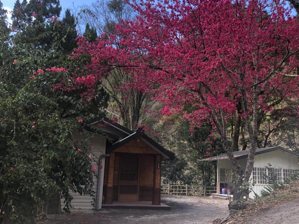 Xijing Ecological Farm photo