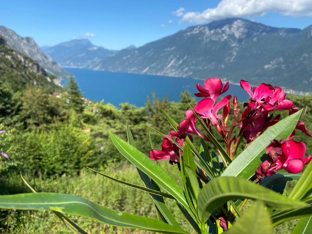 Un Balcone sul Garda - 3