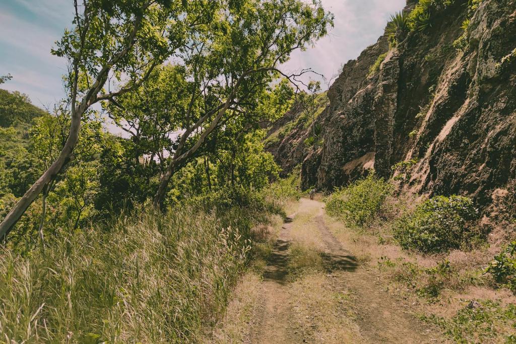 กิจกรรม