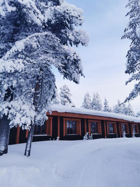 Saariselka Inn Majatalo Panimo — Hotel in Inari