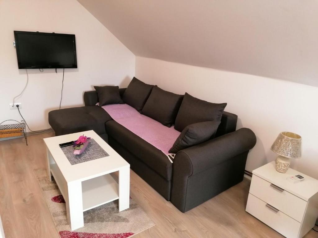 Studio apartman Vasić - 1