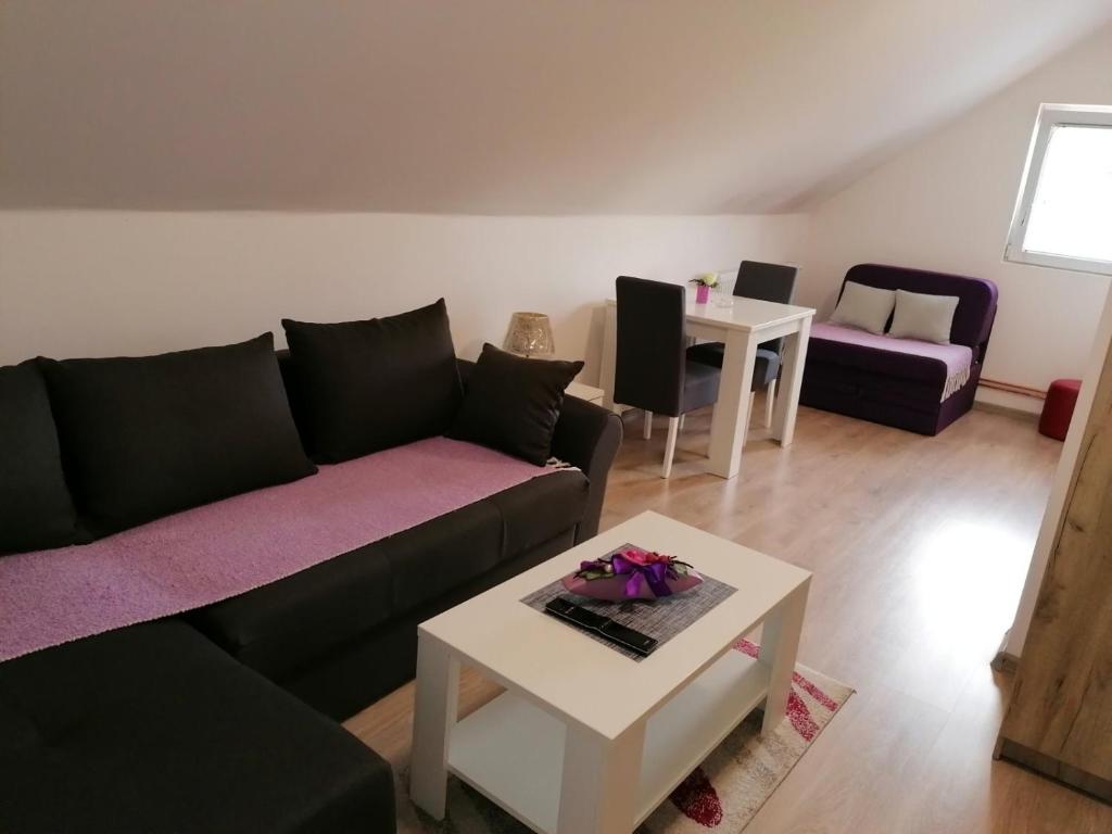 Studio apartman Vasić - 3