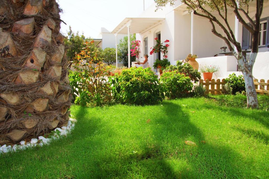 George's Place Sifnos - apartments — Hotel in Sifnos