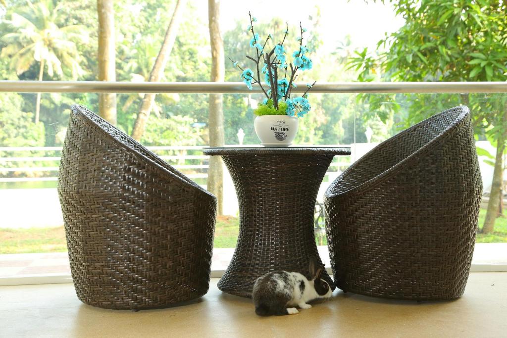 Riverside Inn Homestay photo