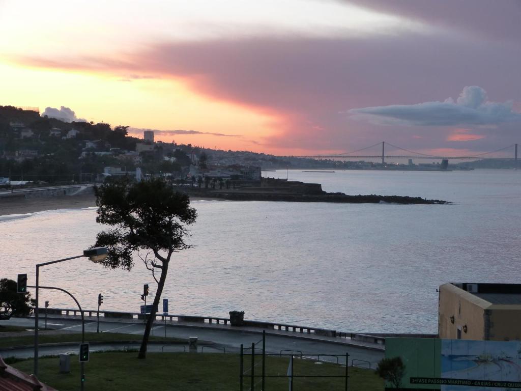 Hotel Solar Palmeiras photo