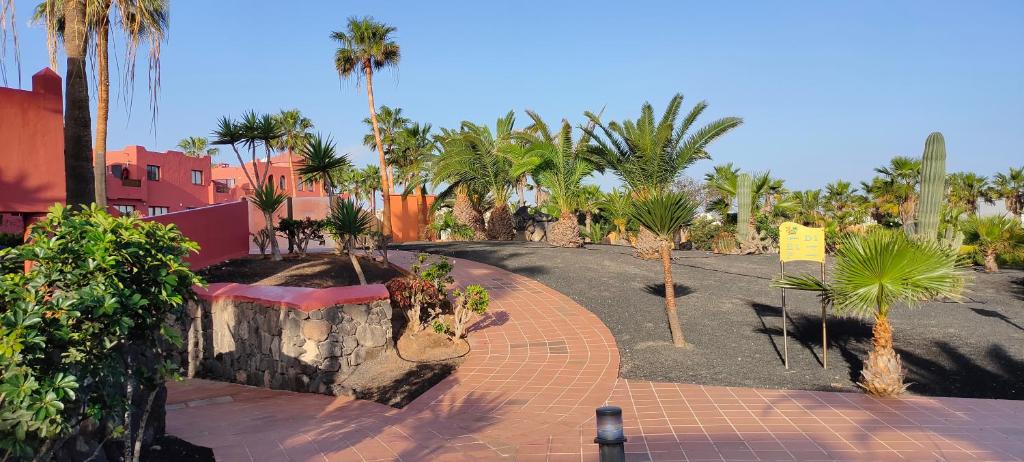 Small&Sunny WiFi Premium vivienda vacacional - 4