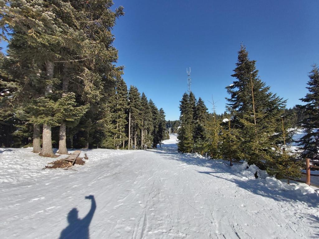 スポーツ/アクティビティ