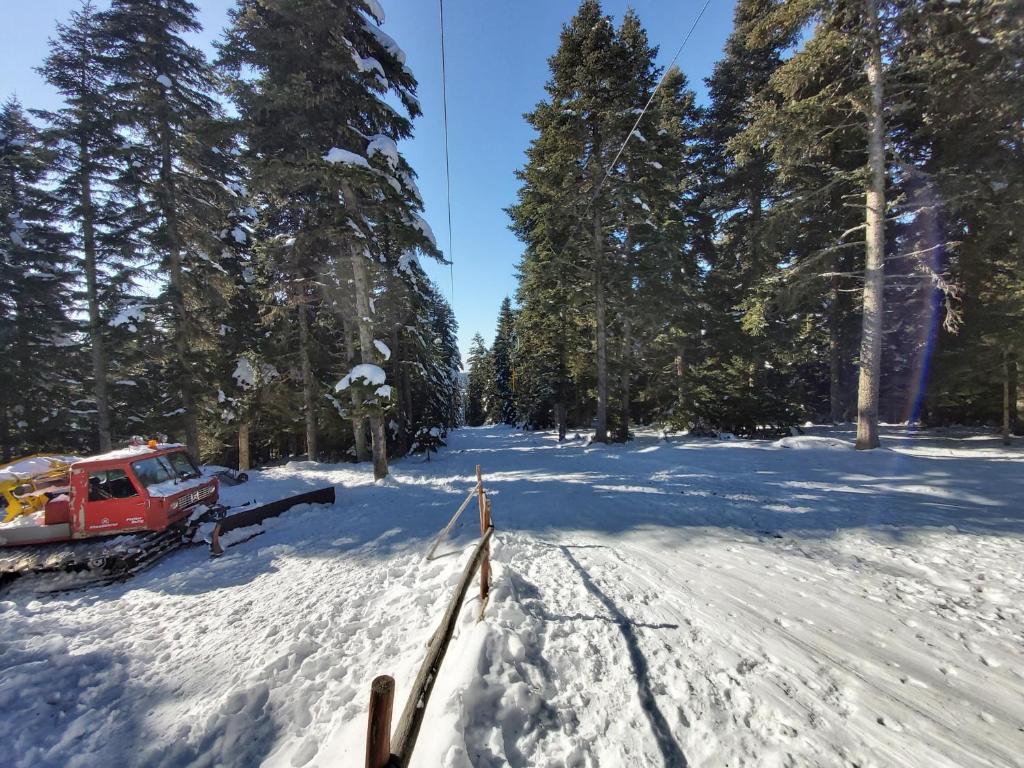 スポーツ/アクティビティ