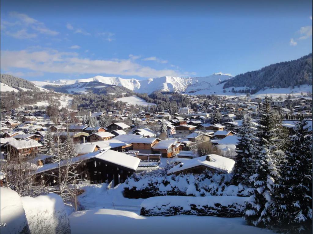 Chalet familial à Megève, vue sur le village - 3
