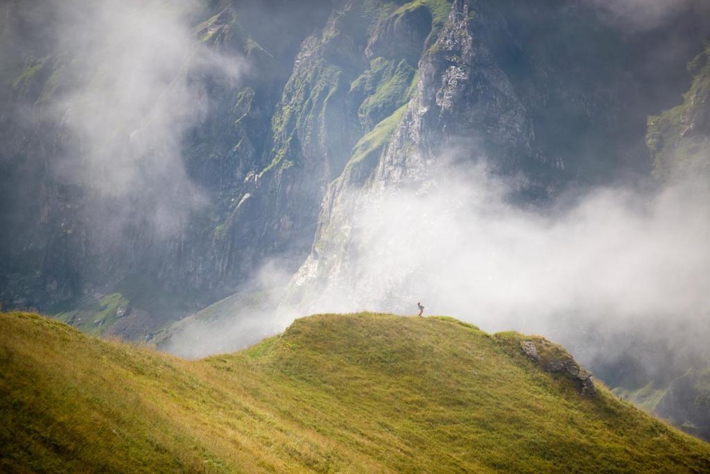 Surrounding environment