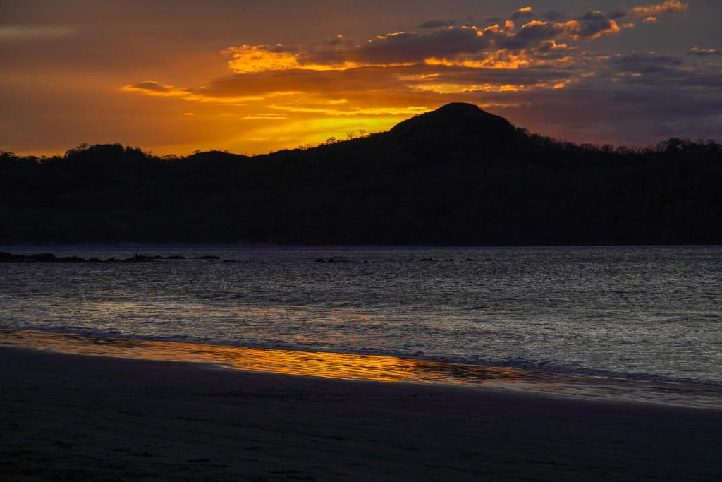 周辺観光スポット