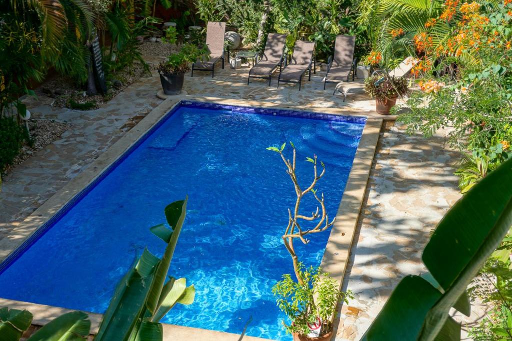 スイミングプール